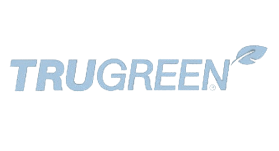 colored-logo-removebg-preview__1___2_-removebg-preview